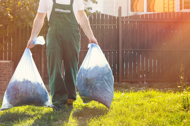 Best Basement Cleanout  in Palm Beach Shores, FL